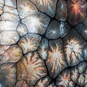 Earthy Metallics Fluid Art Pearl Pour by Traci Scerri