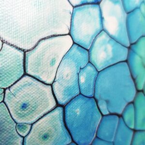 Tidal Pearls - Fluid Art Pearl Pour by Traci Scerri